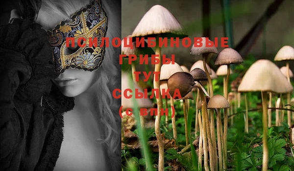 MDMA Абаза