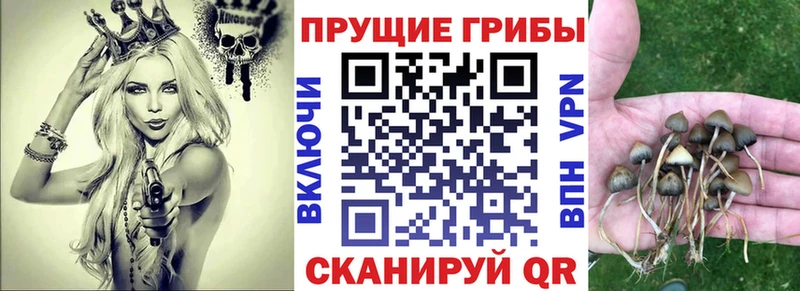 ссылка на мегу Западная Двина Галлюциногенные грибы прущие грибы
