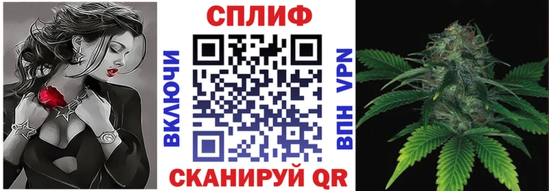 Конопля OG Kush Западная Двина